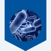 Website - CWP - BacteriaVirus
